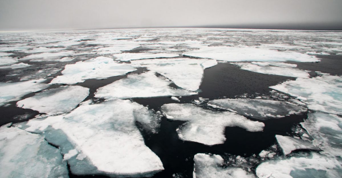 Арктика може да види дни „без лед“ през следващите няколко години, предупреждава проучване