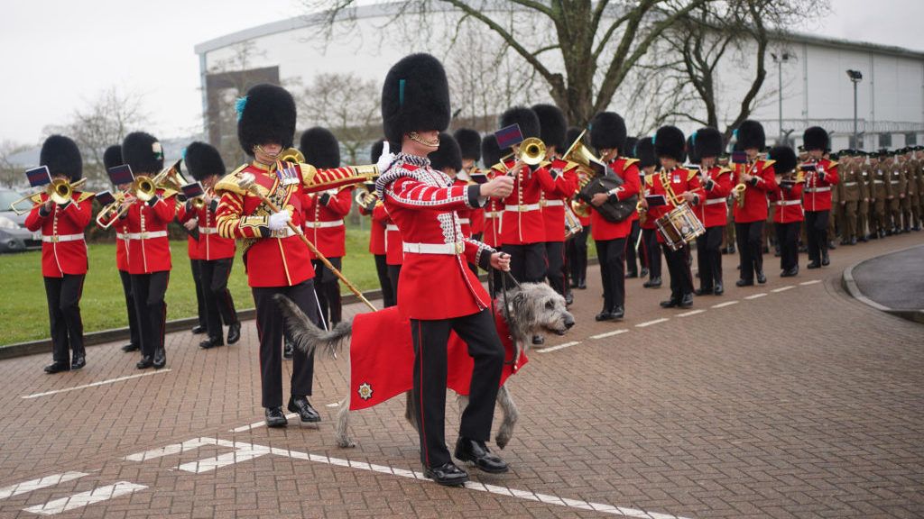 Irish Guards led by Irish Wolfhound mascot in St Patrick’s Day parade in Hampshire