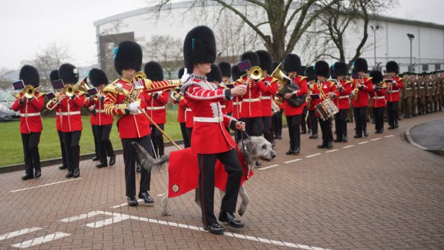 Irish Guards Led By Irish Wolfhound Mascot In St Patrick’s Day Parade In Hampshire