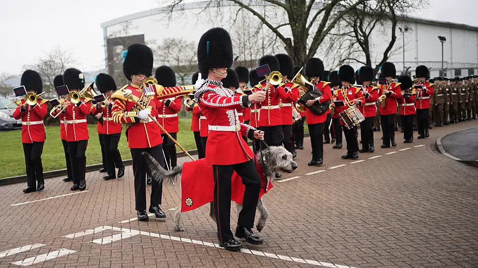 Irish Guards Led By Irish Wolfhound Mascot In St Patrick’s Day Parade In Hampshire