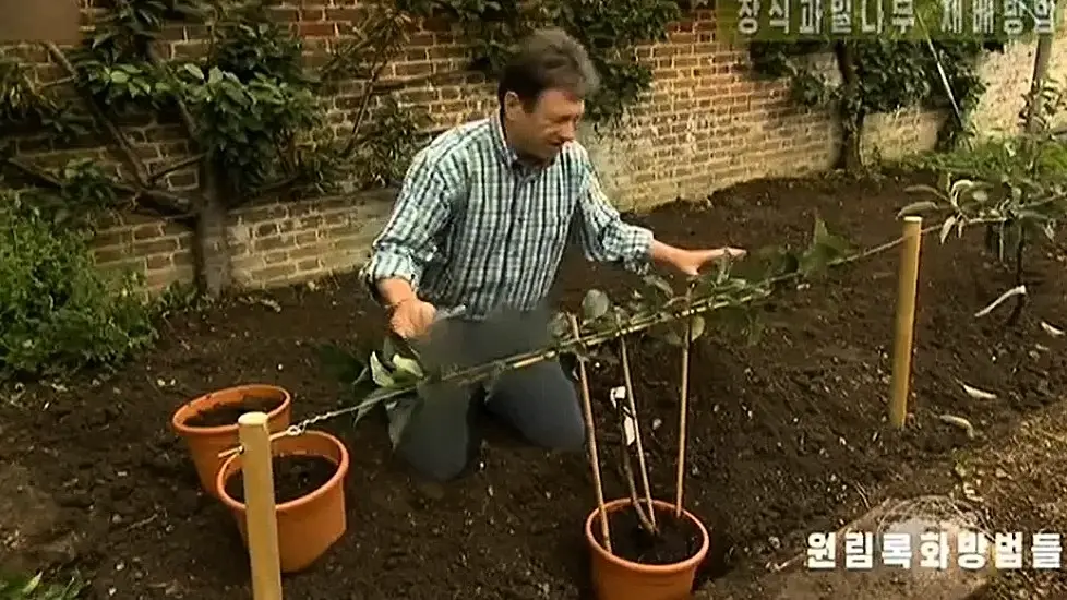 Alan Titchmarsh’s Trousers Censored On North Korean Tv