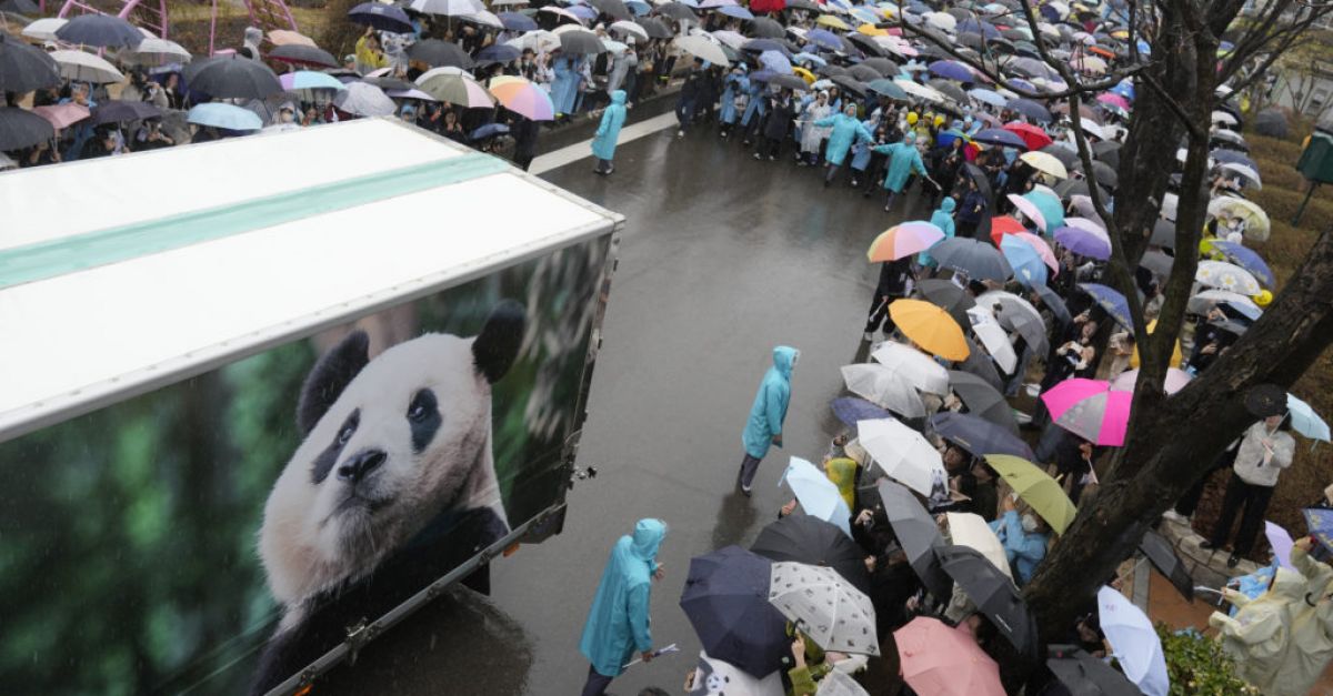 Жителите на Южна Корея се сбогуваха емоционално с любимата си панда, заминаваща за Китай