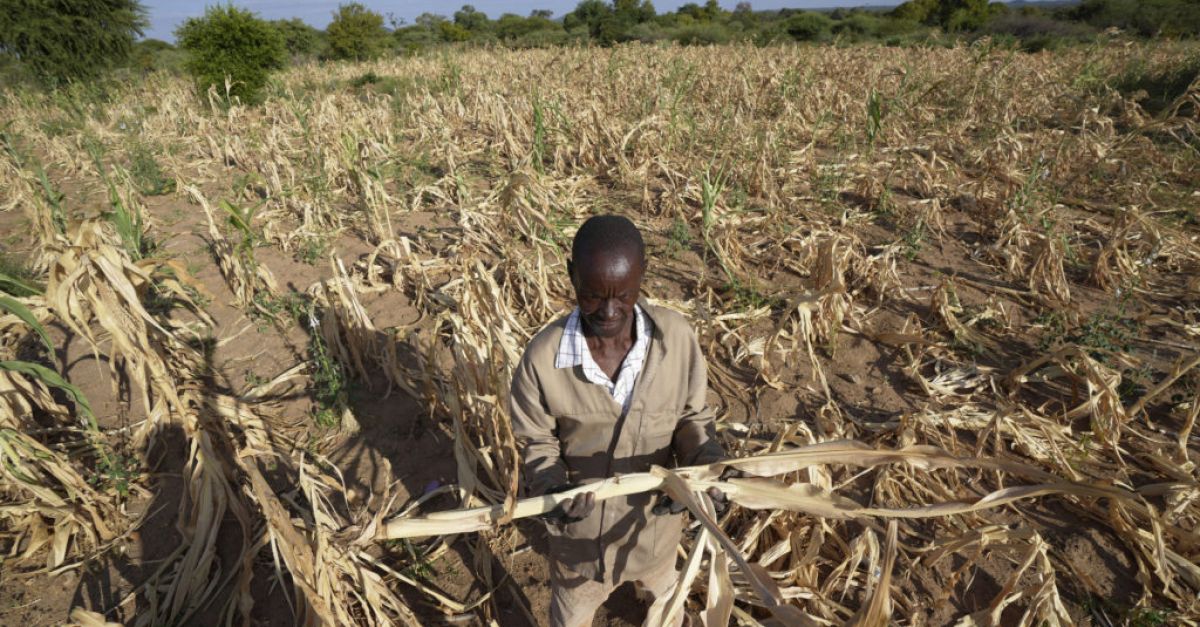 Зимбабве обяви бедствено положение заради широкоразпространената суша
