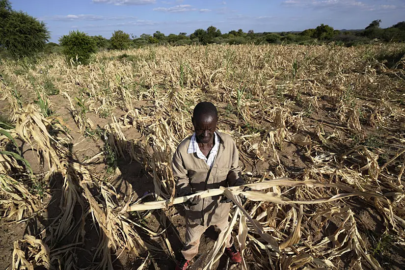 Zimbabwe Declares State Of Disaster Over Widespread Drought