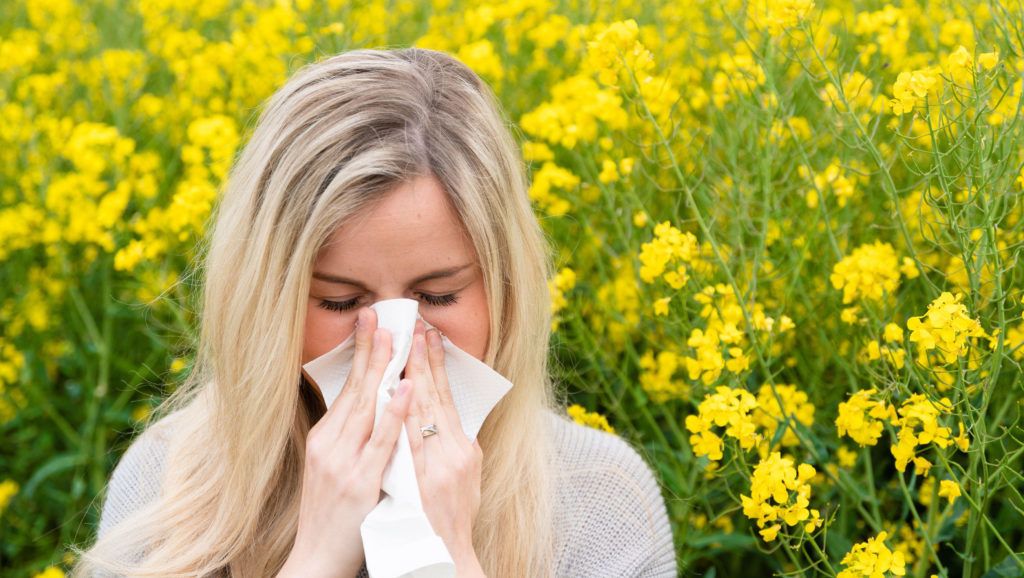 Hay fever 'misery' this pollen season – expert advice for prevention and treatment