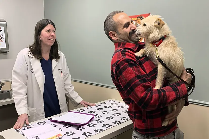 California Dog Missing Since The Summer Found More Than 2,000 Miles Away