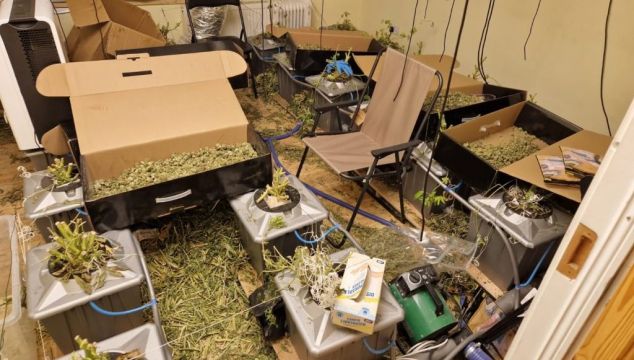 Cannabis Worth €700,000 Seized In Roscommon