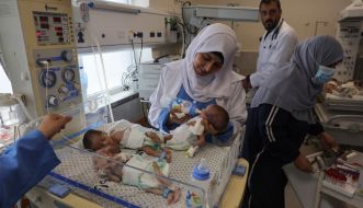 Thousands Of Frozen Ivf Embryos In Gaza Destroyed By Israeli Strike
