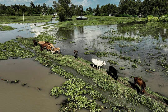 Burundi Hard-Hit As Flooding Causes Havoc Across East Africa