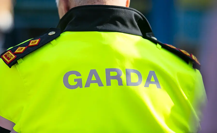 Garda Detective Challenges Ongoing Disciplinary Proceedings Against Him