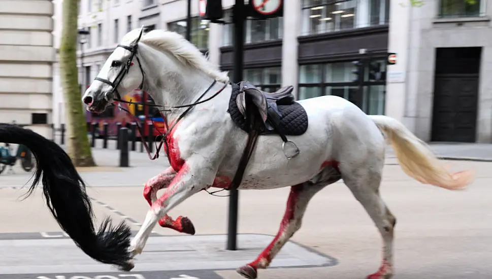 Four People Taken To Hospital After Military Horses Bolt Through Central London