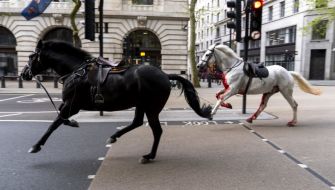 Two Military Horses Undergo Operations After Running Loose In London