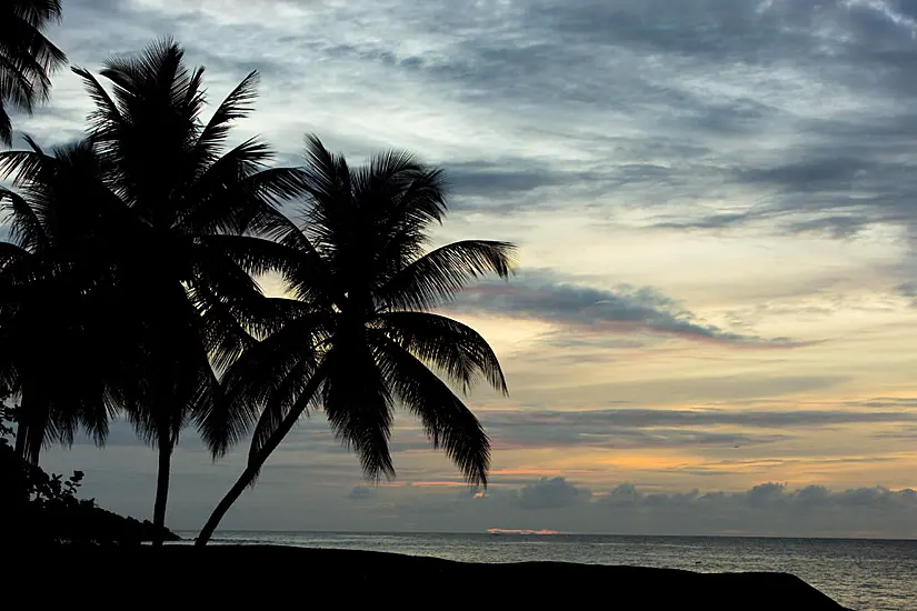 British Tourist In Hospital After Shark Attack As Tobago Closes Several Beaches