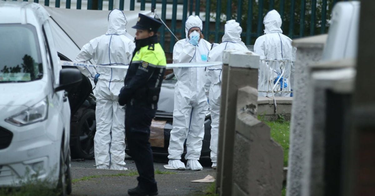 Смята се, че убийство в Дримнах в Дъблин в понеделник