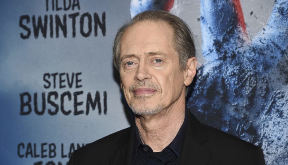 Actor Steve Buscemi Punched By Man In New York