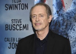 Actor Steve Buscemi Punched By Man In New York