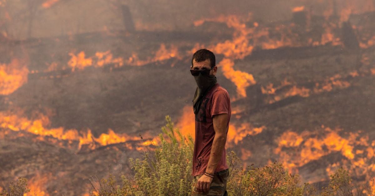 Интензивните летни горещини в северното полукълбо, които предизвикаха горски пожари