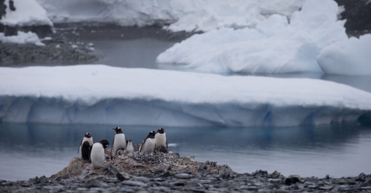 Срещата на Чили в Антарктида изпраща съобщение до Русия относно територията