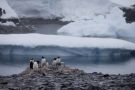 Chilean Meeting In Antarctica Issues Message To Russia Over Territory