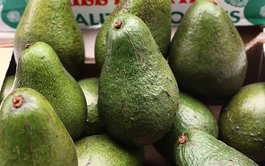 Guac-Jackers Steal 40 Tonnes Of Avocados