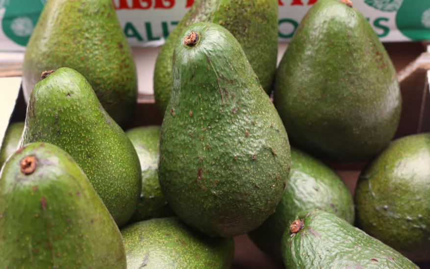 Guac-Jackers Steal 40 Tonnes Of Avocados