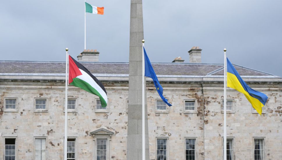 Man In Court Charged Over Alleged Attempt To Remove Palestinian Flag From Leinster House