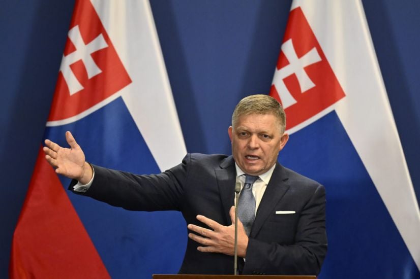 Slovak Pm Robert Fico Released From Hospital After Assassination Attempt