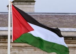 Palestinian Flag Taken Down From Leinster House