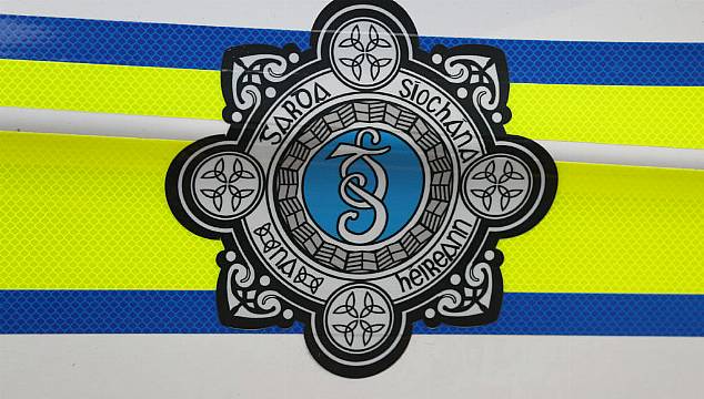 Community ‘Horrified’ After Woman, 23, Killed In Dog Attack In Co Limerick