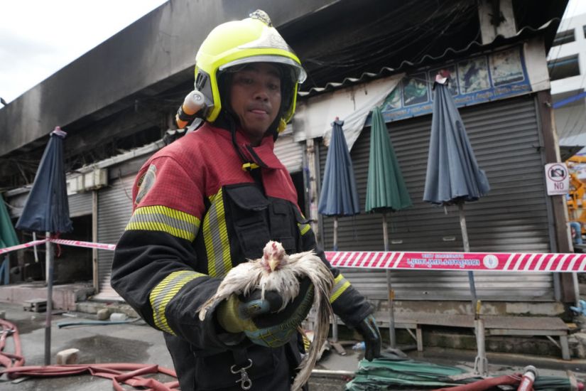 Fire At Famous Thailand Market Kills Hundreds Of Caged Animals