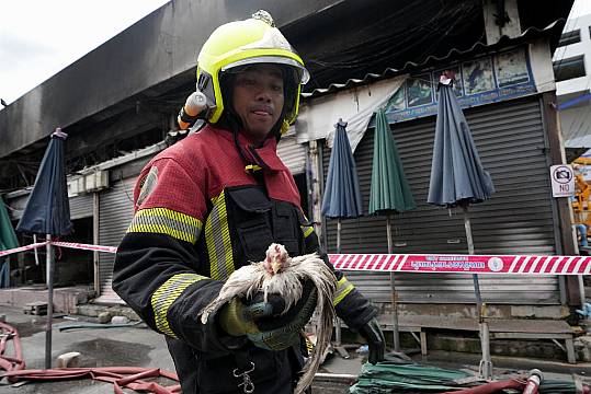 Fire At Famous Thailand Market Kills Hundreds Of Caged Animals