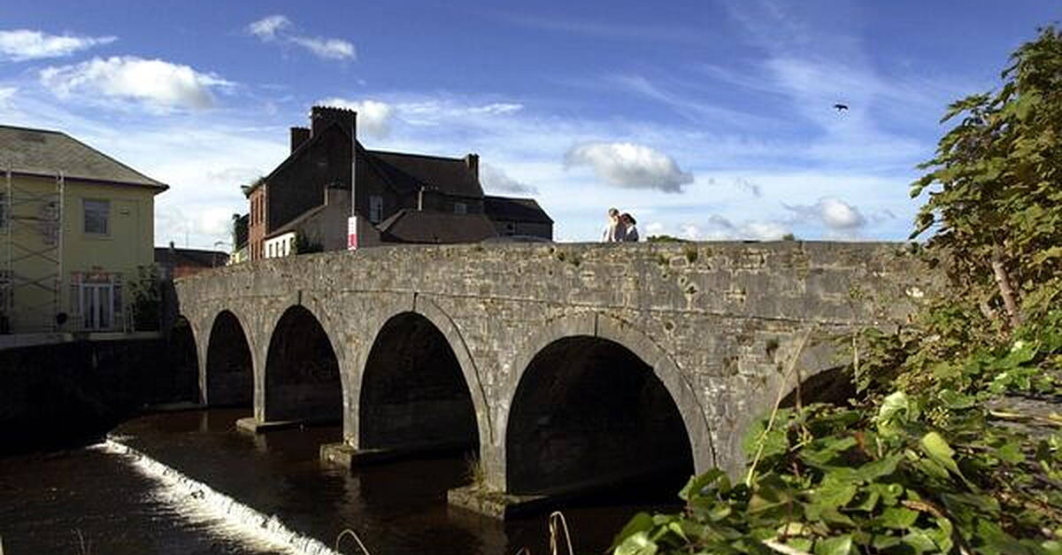 Incident in which 5,000 fish died in Cork river 'heartbreaking for ...