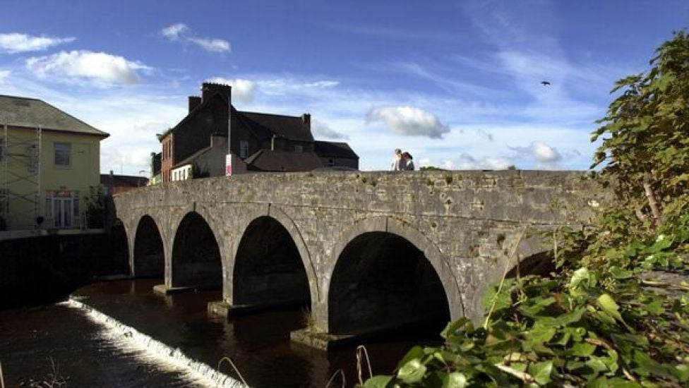 Incident In Which 5,000 Fish Died In Cork River 'Heartbreaking For Community'