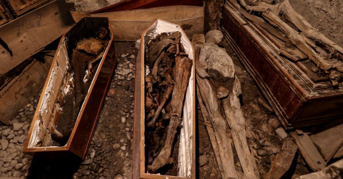 Мащабът на щетите нанесени на историческите мумии след подпалването на