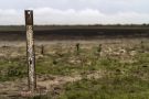 Landmark Eu Nature Restoration Plan Gets Green Light Despite Farmers’ Protests