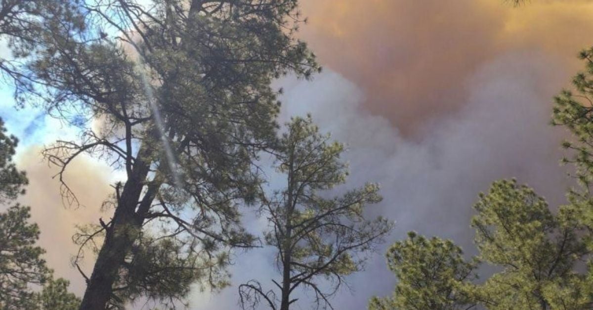 Горски пожар връхлетя планинското село Руидосо в южната част на