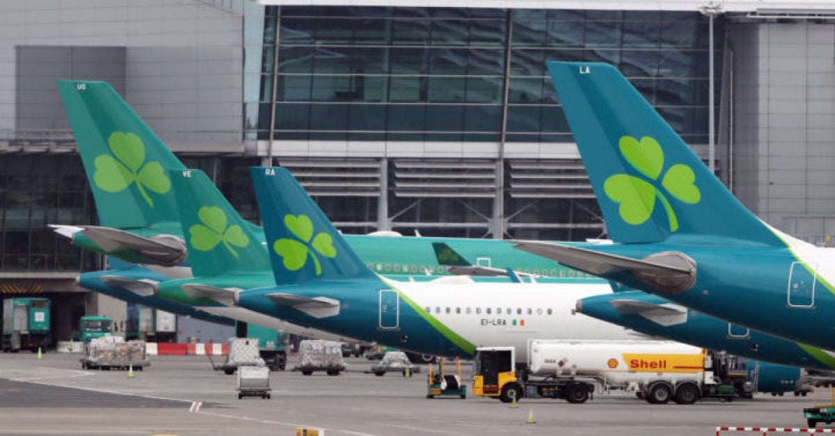 Aer Lingus dispute: Full list of cancelled flights as pilots announce strike | BreakingNews.ie