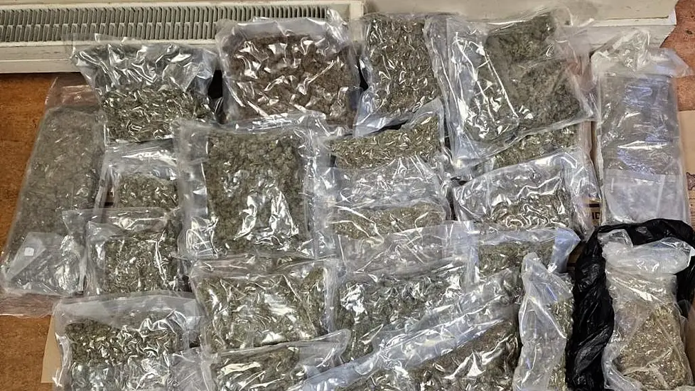 Gardaí Seize Cannabis Worth €320,000 In Co Wicklow