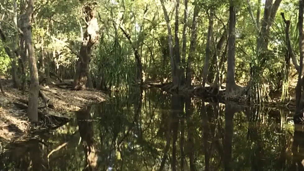 Police Find Remains Of Girl Snatched By Crocodile In Australia