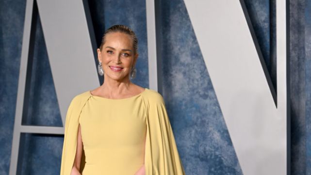 Sharon Stone Lost Millions In Savings After 2001 Stroke: ‘I Had Zero Money’