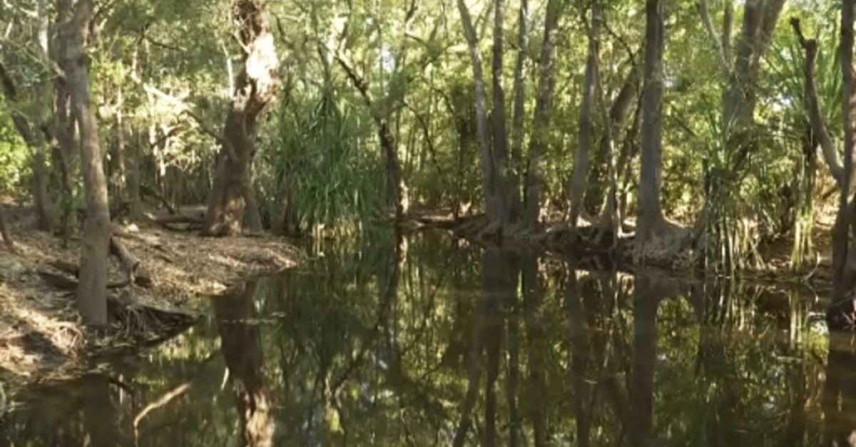 Des gardes forestiers australiens abattent un crocodile de 14 pieds qui a tué une fille qui nageait dans un ruisseau