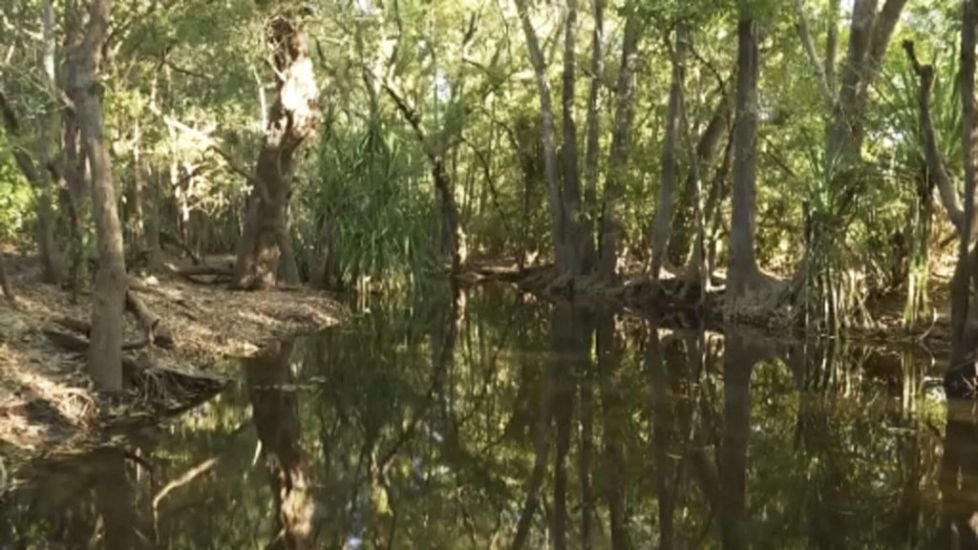 Australian Rangers Shoot 14Ft Crocodile That Killed Girl Swimming In Creek