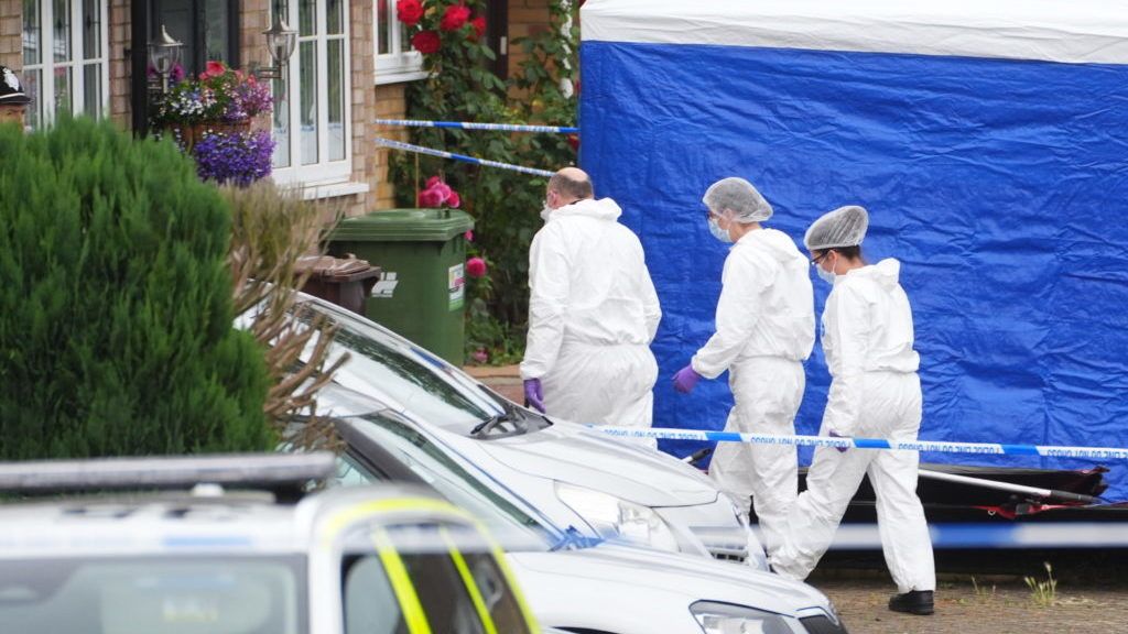 Screams heard as three women murdered in quiet suburban cul-de-sac near London