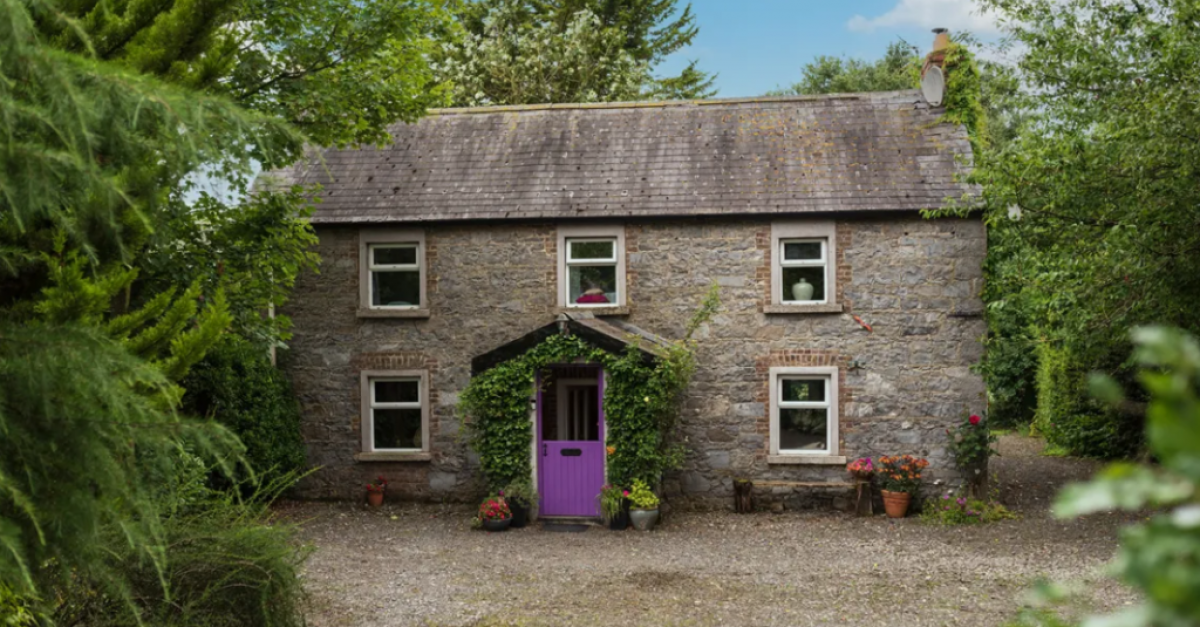 Monasterevin ‘Old Stone House’ puts contemporary spin on 1840s home | BreakingNews.ie