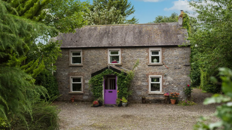 Monasterevin 'Old Stone House' Puts Contemporary Spin On 1840S Home