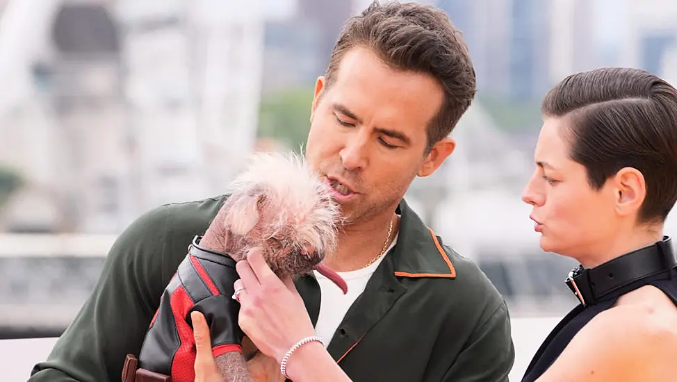 Ryan Reynolds Pictured Holding Dogpool At Deadpool And Wolverine Photo Call