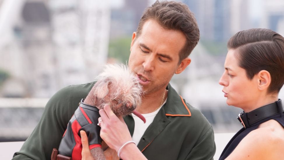 Ryan Reynolds Pictured Holding Dogpool At Deadpool And Wolverine Photo Call