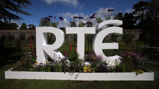 Rté's €725 Million Funding 'A Sticking Plaster' Without A Long-Term Vision — Labour Senator