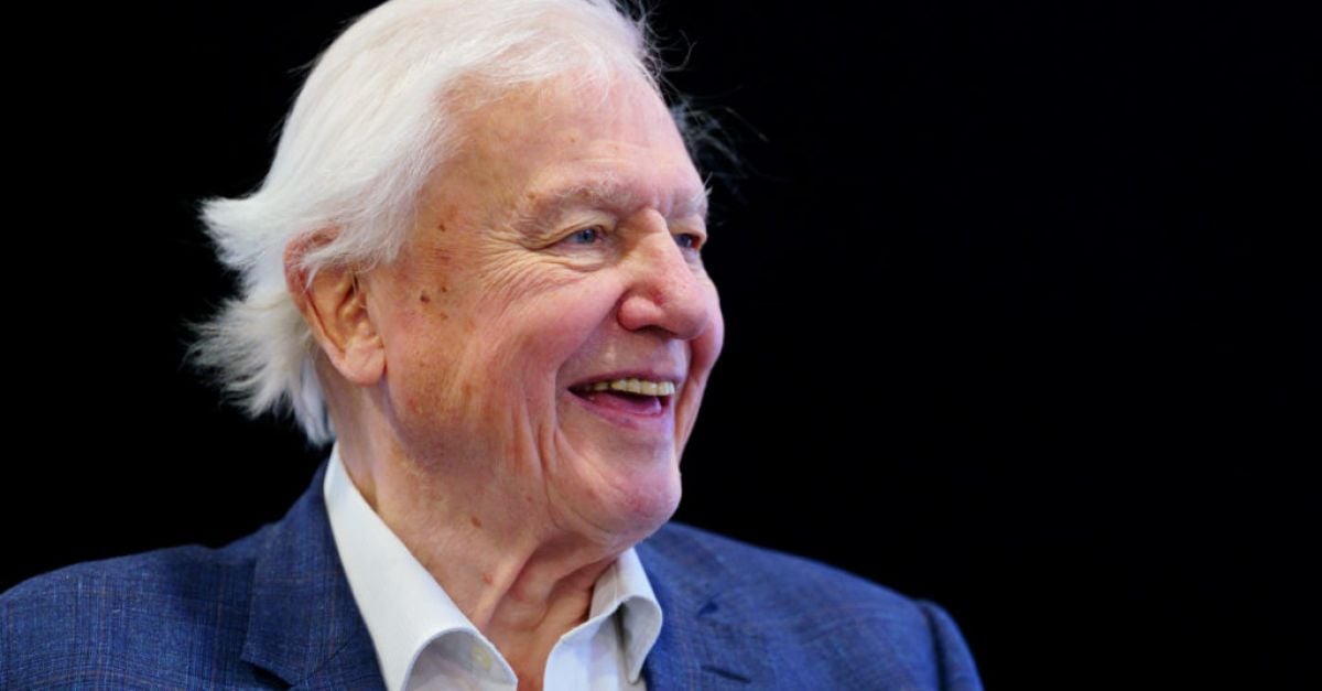 David Attenborough To Present National Geographic Documentary About Oceans