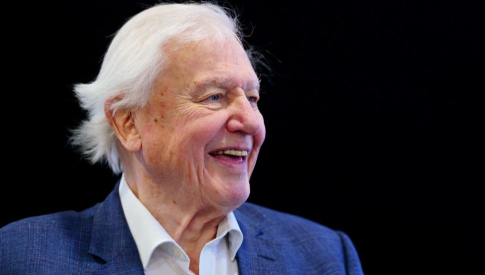 David Attenborough To Present National Geographic Documentary About Oceans